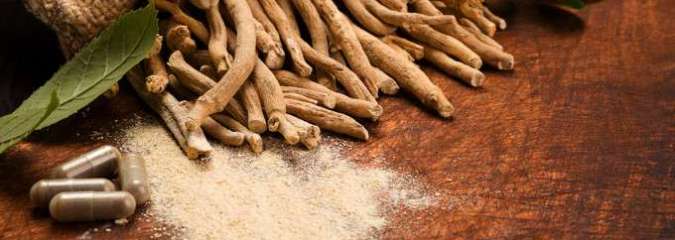 9 Reasons to Include Ashwagandha in Your Health Regimen | Dr. Joseph Mercola