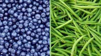Blueberries and Green Beans Join EWG’s ‘Dirty Dozen’ List of Pesticide-Drenched Produce