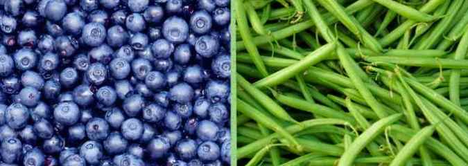Blueberries and Green Beans Join EWG’s ‘Dirty Dozen’ List of Pesticide-Drenched Produce