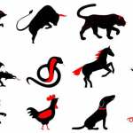 Differences Between the Chinese and Western Zodiac