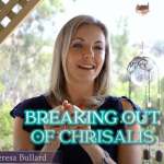 How The Process of Metamorphosis Relates to Humans and Can Support You on Your Journey |  Dr. Theresa Bullard