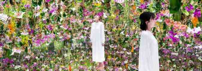 Incredibly Beautiful Floating Flower Garden is ALIVE with 13,000 Orchids that Move as You Approach (MUST WATCH)