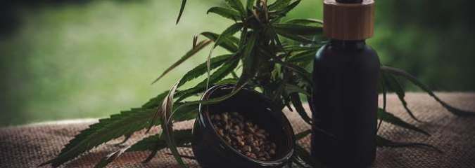 The Full-Spectrum and Broad-Spectrum Hemp Oil for Cats