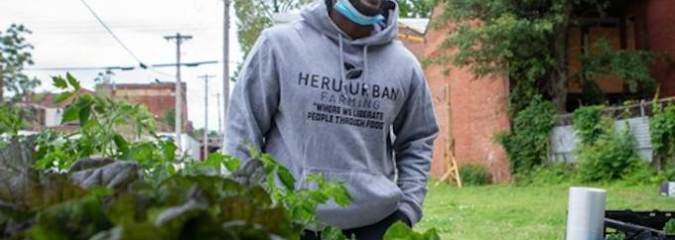 Urban Farmers Believe They Have Key to Solve Violent Crime