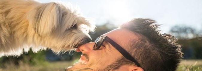 8 Lessons My Dog Taught Me About Love, Life, and Getting Older