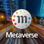The Possibilities of the Metaverse