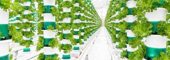 UK’s Largest Vertical Farm That Uses Only Sunlight Begins First Harvest