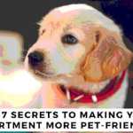 7 Secrets to Making Your Apartment More Pet-Friendly