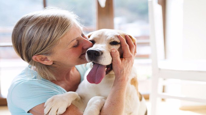 8 Things Your Dog Needs to Form a Good Relationship with You