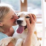 Premature Death Risk 33+% Lower for Dog Owners