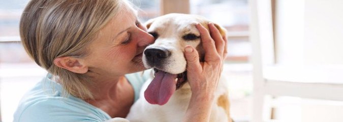 Premature Death Risk 33+% Lower for Dog Owners