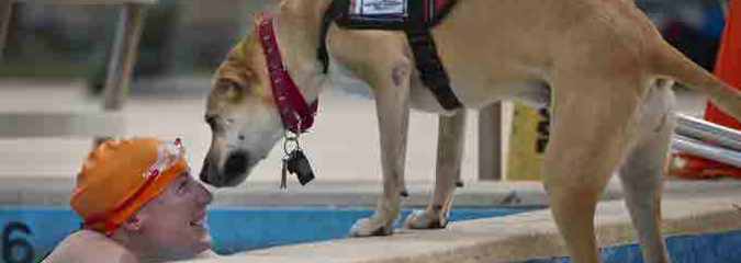 The Use of Service Dogs for People with Physical Disabilities in the USA