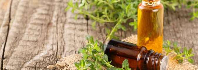 Thyme Extract Helps Treat COVID-19
