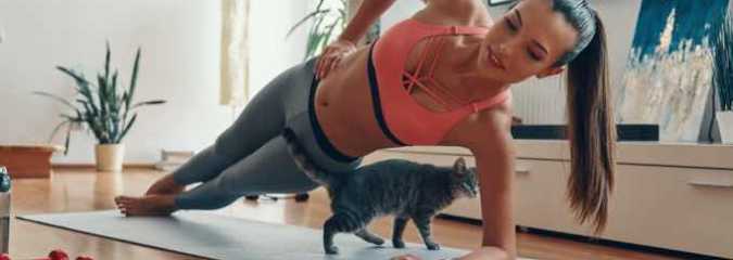Simple Ways You Can Exercise With Your Pets At Home